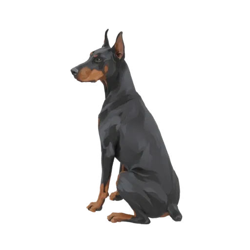 Modèle 3D d'un chien Doberman Pinscher noir et feu assis attentivement, regardant vers la gauche.