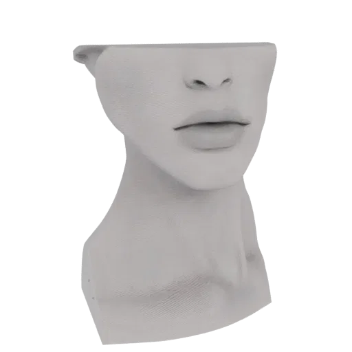 3D model render of an abstract, minimalist face bust sculpture with a matte gray finish, focusing on the nose and lips.