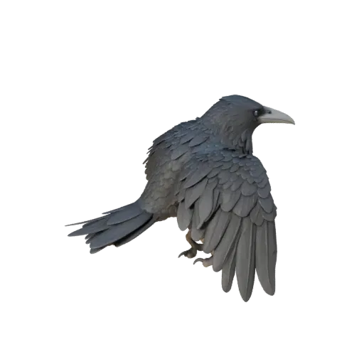 Raven 3D Model for Unity - Game Ready Asset, FBX | Royalty-Free