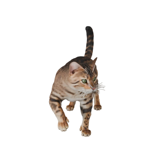 Modelo 3D Gato Bengala de Alto Poligonagem - Recurso STL Detalhado para Impressão
