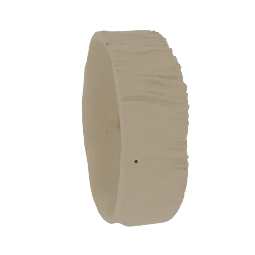 Un rendering 3D di un anello texturizzato con una superficie organica simile alla corteccia, presentato su sfondo bianco.