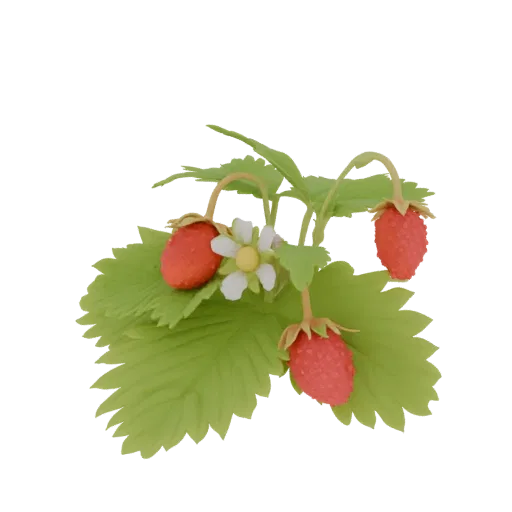 3D model of a clay strawberry plant with three red berries and a white flower, set against a black background.