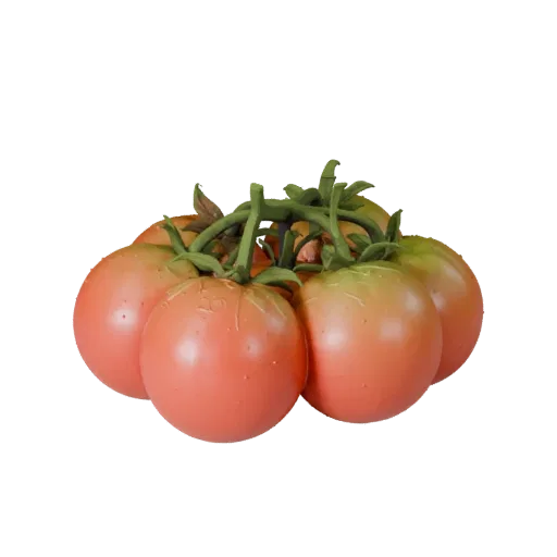 Market Tomato Cluster Printable 3D model, isometric STL render, showing leaf veins, clear vegetable silhouettes.