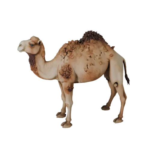 Modèle 3D réaliste de dromadaire, rendu de vie sauvage de profil, actif animal prêt pour l'animation avec équilibre de pose,