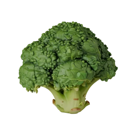 Chopped Broccoli Head High Poly 3D model, close-up studio render, showing leaf veins, clear vegetable silhouettes.