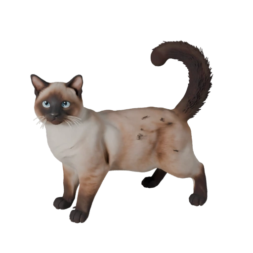 Modelo 3D Realista de Gato Birmano - Recurso PBR Rigged para Juegos
