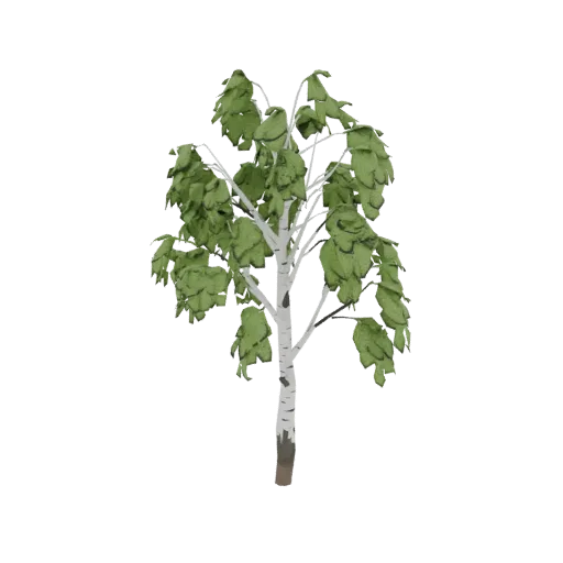 A 3D model of a stylized birch tree with white bark and green leaves, presented on a white background.