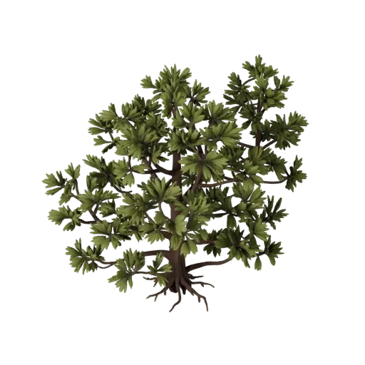 Pine Forest Pack High Poly 3D model, close-up cinematic environment render, showing leaf clusters, terrain detail.