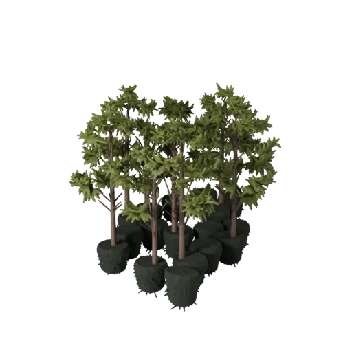 Hedge Row Kit Realistic 3D model, three-quarter environment render, showing leaf clusters, layered vegetation clusters.