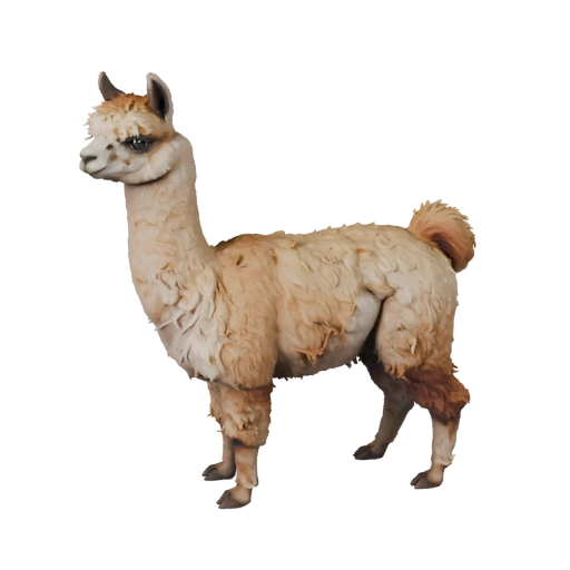 Alpaka 3D-Modell für Unity - Spielfertiges Asset, FBX | Lizenzfrei