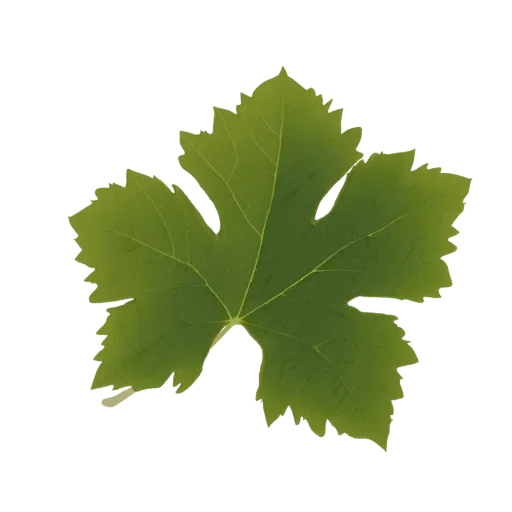 A realistic 3D model of a single green grape leaf with prominent veins against a black background.