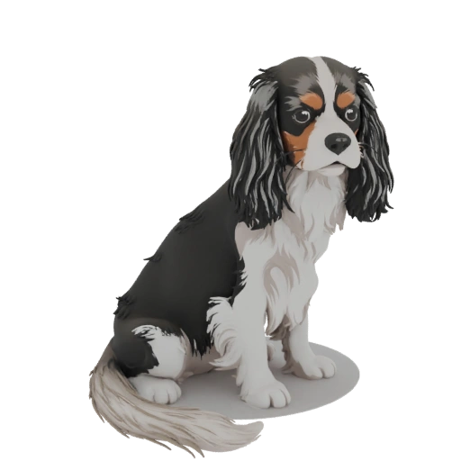 Cavalier King Charles Spaniel Sitting Pose 3D Model