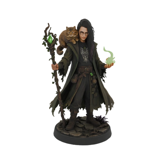 Mystic Wizard with Cat Familiar
