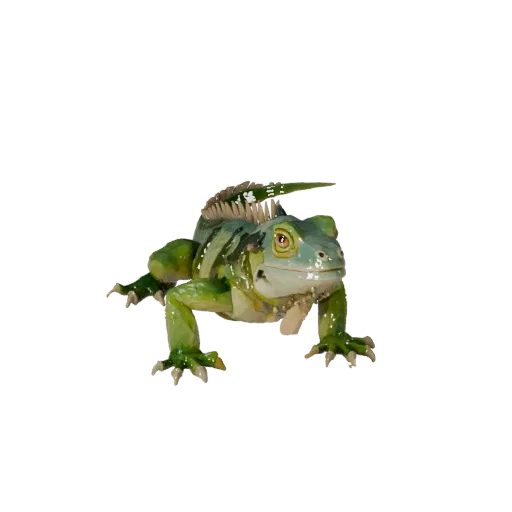 Low Poly Iguana 3D Model - Unity Game Asset with FBX | Royalty-Free