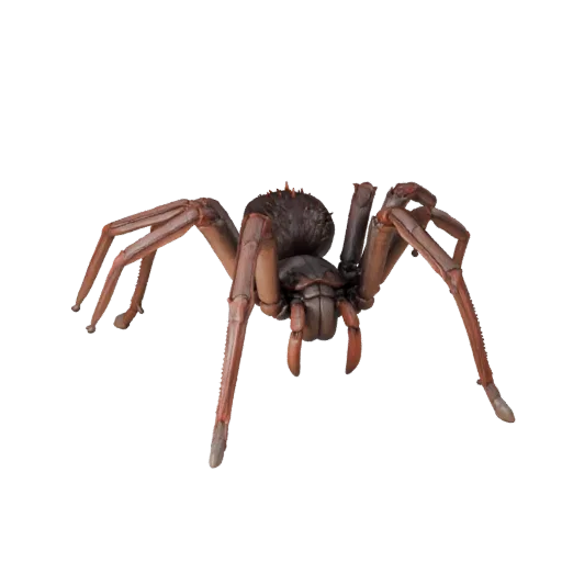 High Poly Giant Spider 3D Model - Detailed STL Asset for Printing