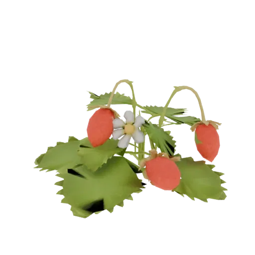 3D model of a stylized strawberry plant with red berries, a white flower, and green leaves against a black background.