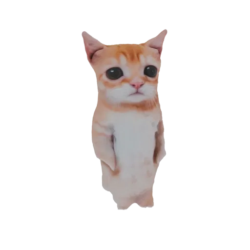 3D model of a standing orange tabby cat with large, dark, expressive eyes and soft striped fur.