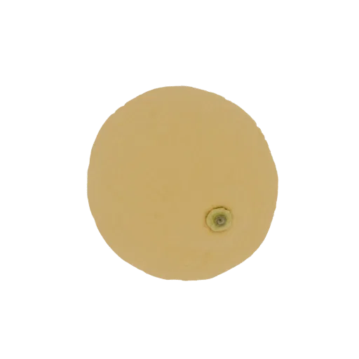 Vue de dessus d'un modèle 3D réaliste de melon jaune pâle avec un petit détail de tige verte sur fond noir.