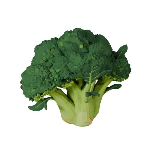 Chopped Broccoli Head Stylized 3D model, stylized isometric render, showing leaf veins, clear vegetable silhouettes.