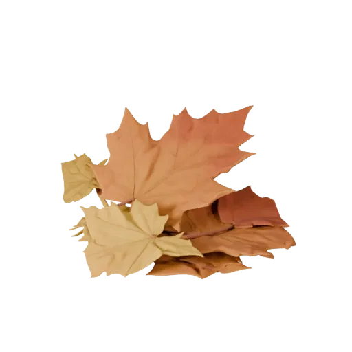 Autumn Leaf Trail High Poly 3D model, close-up cinematic environment render, showing layered soil, raised bases.