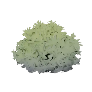 A 3D model of a stylized, bushy plant with layered light green leaves fading to grey at the base, set against a white backgro
