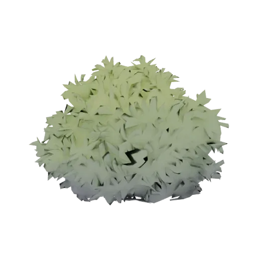 A 3D model of a stylized, bushy plant with layered light green leaves fading to grey at the base, set against a white backgro
