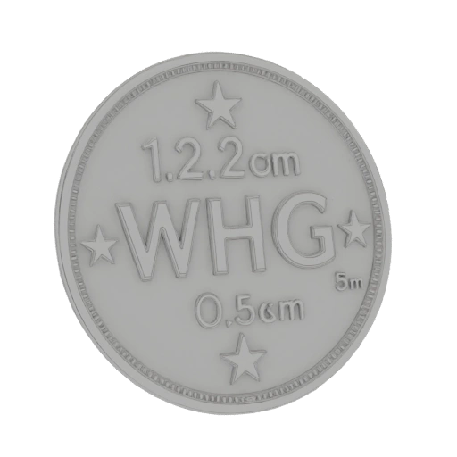 Silver Coin with WHG Letters and Stars