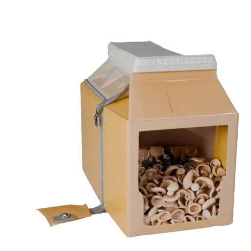 Bagged Cereal Box Product Viz 3D model, three-quarter studio product render, showing cardboard, package massing.
