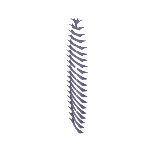 Una renderización 3D de una columna vertebral estilizada, representada en tono púrpura con apariencia texturizada y segmentad