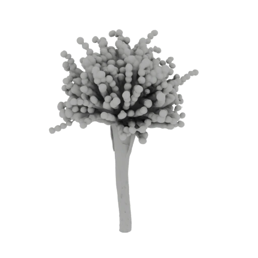 Aspergillus niger Spore Head 3D Model