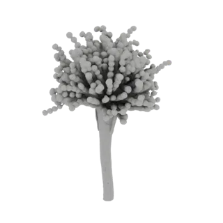 3D model of an Aspergillus niger spore head, showing a stalk with a cluster of spherical spores at the top.