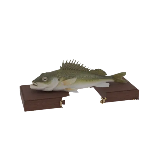 3D model of a realistic bass fish resting on two dark wooden display stands, against a white background.