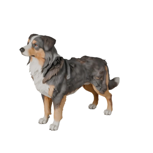 Modelo 3D de Pastor Australiano para Blender - Asset PBR | PBR