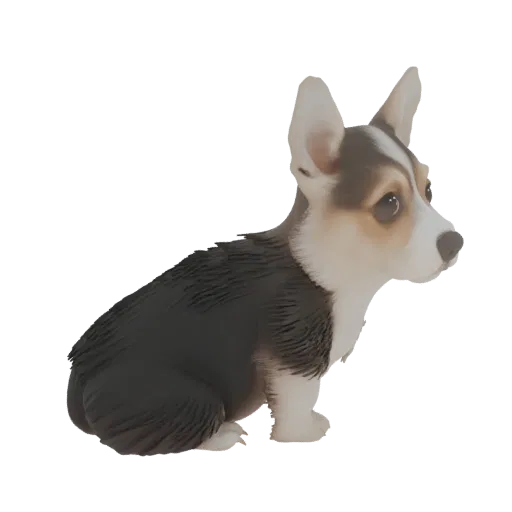 3D model of a tricolor Corgi dog sitting, with black, white, and tan fur, looking to the right.
