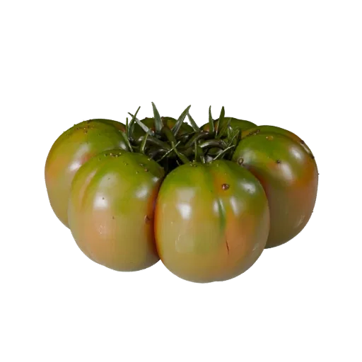 Chopped Tomato Cluster Realistic 3D model, three-quarter studio render, showing leaf veins, clear vegetable silhouettes.