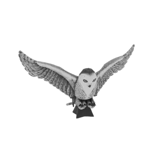 3D model of a Snowy Owl in mid-flight, wings spread wide, with detailed feathers and piercing eyes, set against a white backg