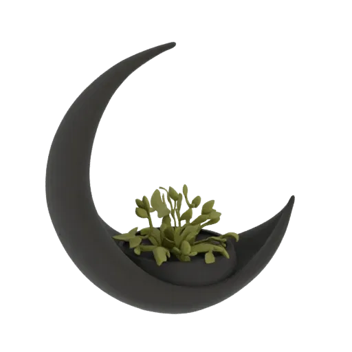 3D model of a dark gray crescent moon planter with a green succulent plant inside, set against a black background.