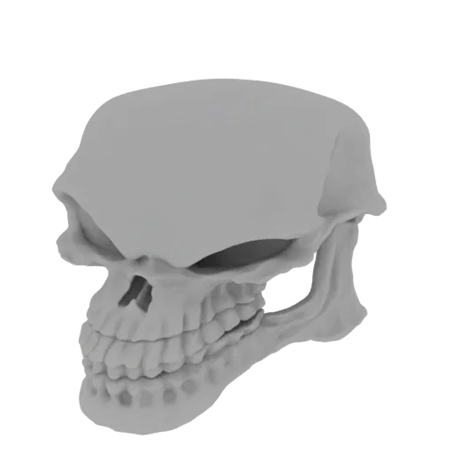 A 3D render of a stylized human skull, viewed from the side, with sharp contours and defined teeth.
