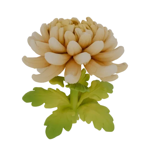 3D model of a cream chrysanthemum flower with lush petals and green leaves on a white background