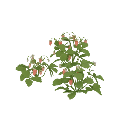 A 3D render of a strawberry plant with green leaves, red fruits, and white flowers against a black background.