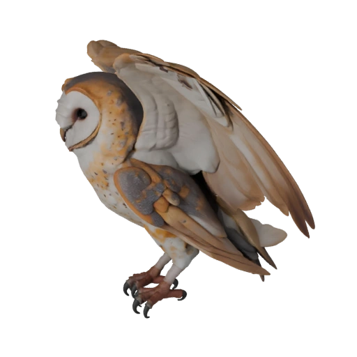 Modelo 3D de Lechuza Común para Unity - Activo Listo para Juego, FBX | Libre de Regalías