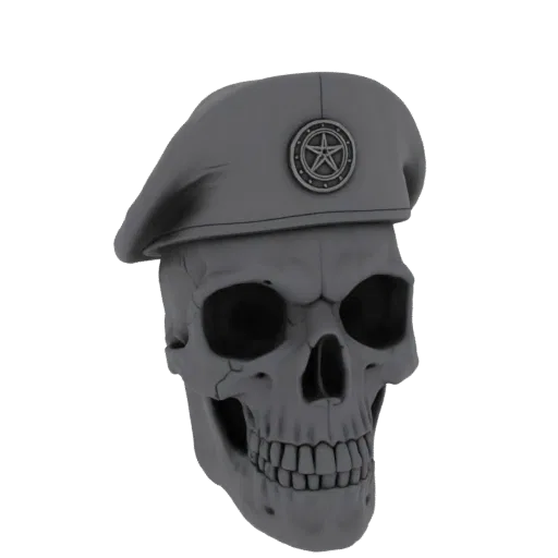 3D model of a grey skull wearing a beret with a star emblem, set against a black background.