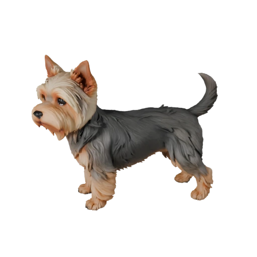 Modello 3D Cane Yorkshire Terrier Low Poly - Asset Unity con FBX