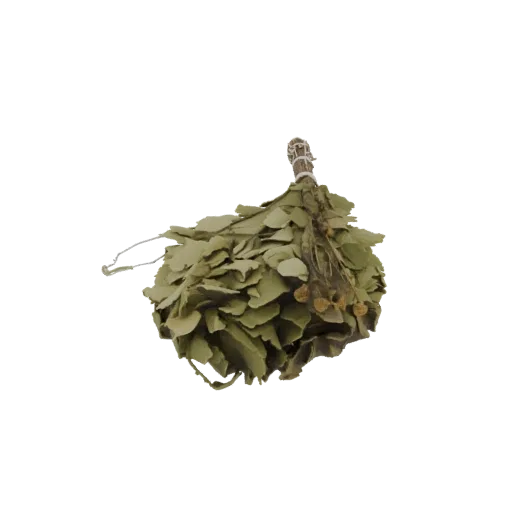 3D model of a dried birch broom with green leaves tied together with twine, set against a black background.