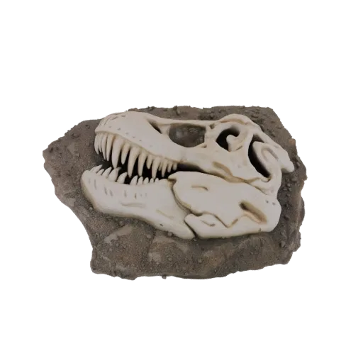 3D model of a fossilized Tyrannosaurus Rex skull embedded in a rough rock base, viewed from the side.