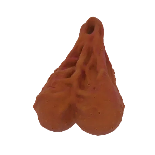 A 3D render of grotesque, fleshy, reddish-brown pods with a textured, organic surface, isolated on a black background.