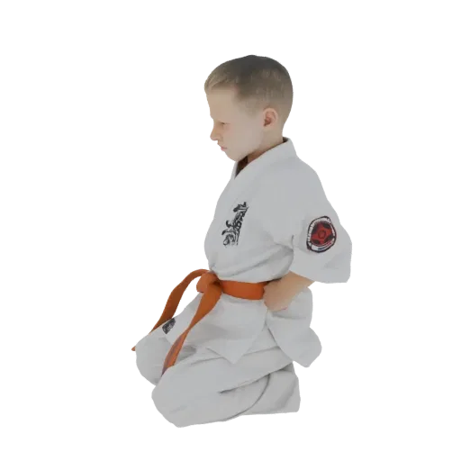 3D model of a young boy in a white karate gi with an orange belt, kneeling in a martial arts pose.