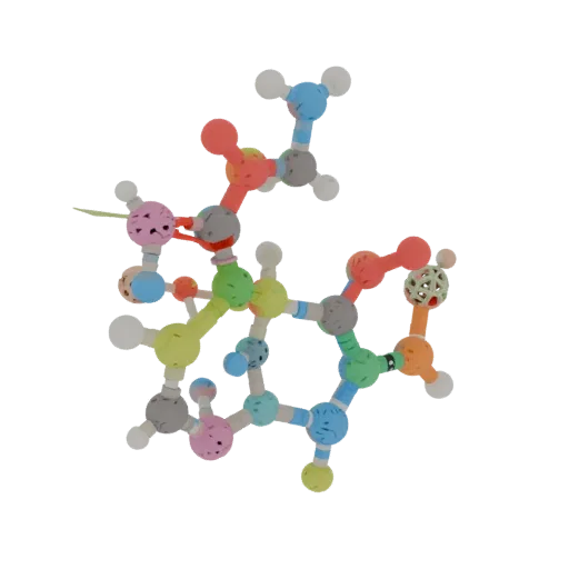 Organic Protein Chain Education 3D model, three-quarter training render, showing colored spheres, molecule layout.