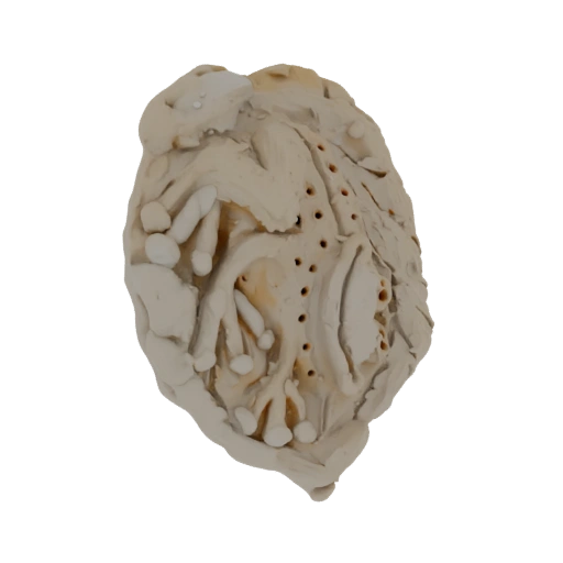 Abstract Organic Clay Sculpture with Perforations