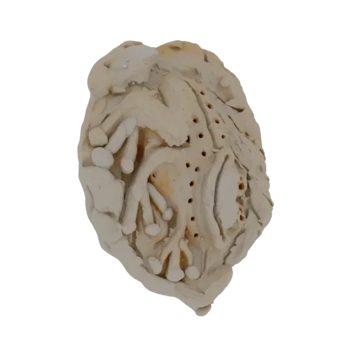 3D render of an abstract organic sculpture resembling textured clay with many small holes and organic shapes.